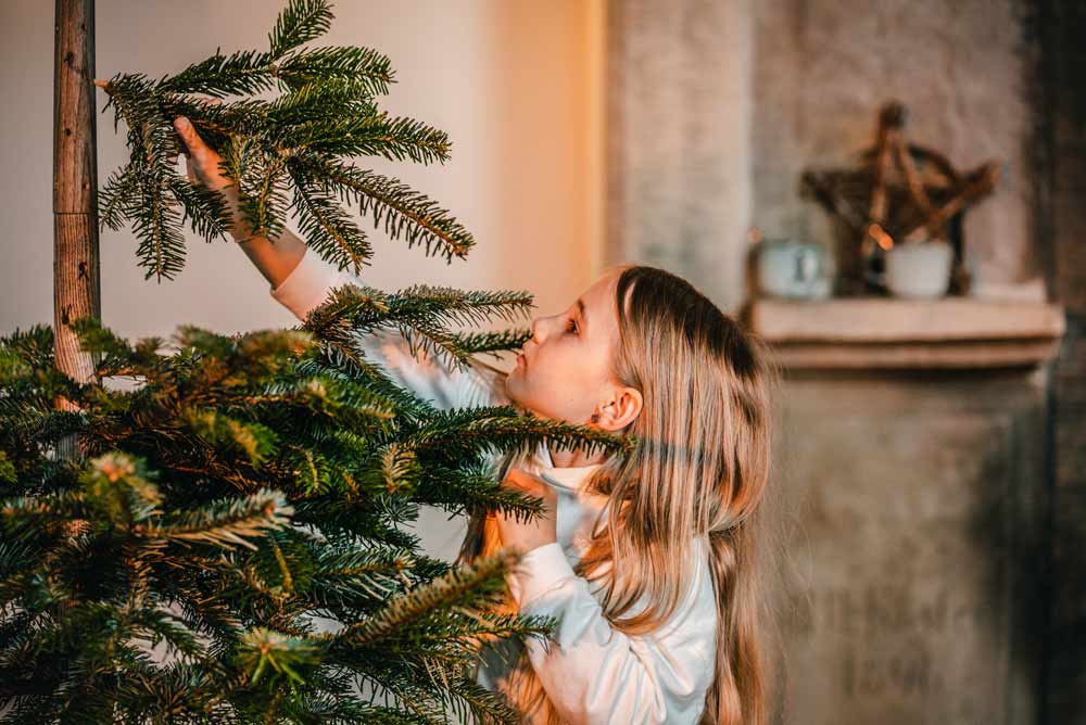 Stecktanne? Lass mal stecken! Wir basteln uns einen Keinachtsbaum