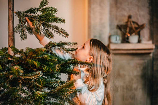 Stecktanne? Lass mal stecken! Wir basteln uns einen Keinachtsbaum