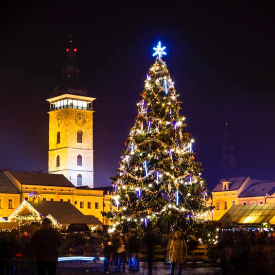 Geschichte des Weihnachtsbaumes: Was war der erste Weihnachtsbaum?