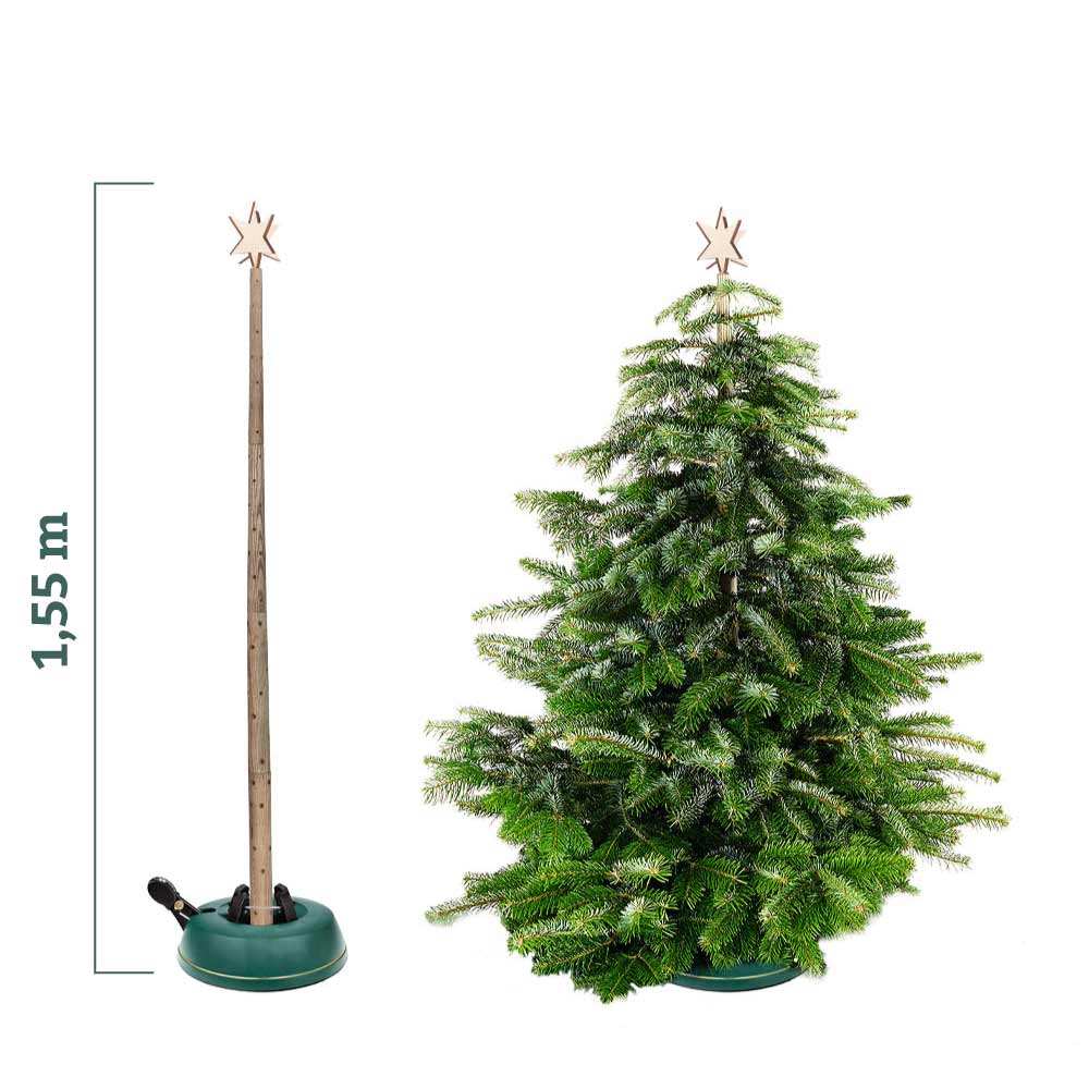 Keinachtsbaum®