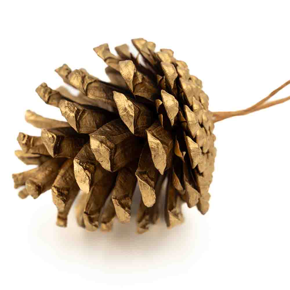 Zapfenschmuck Gold