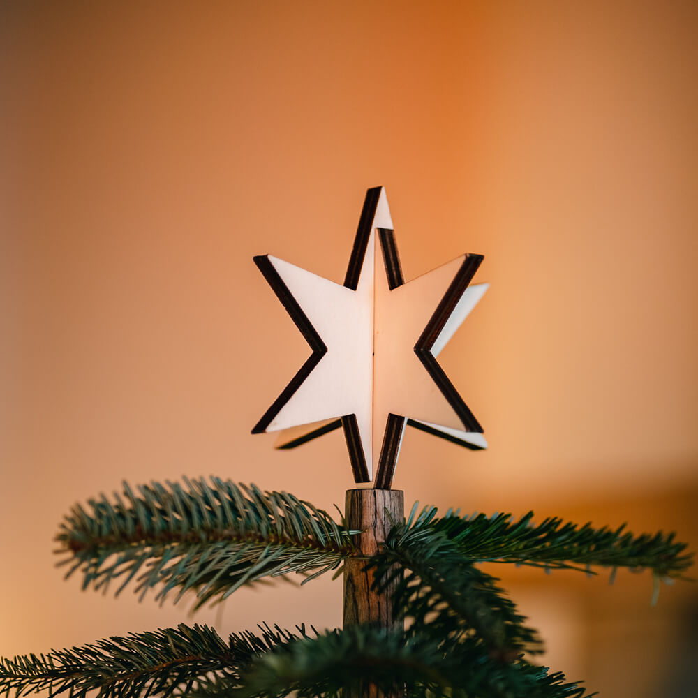 Keinachtsbaum® Niki – der kleinste Keinachtsbaum