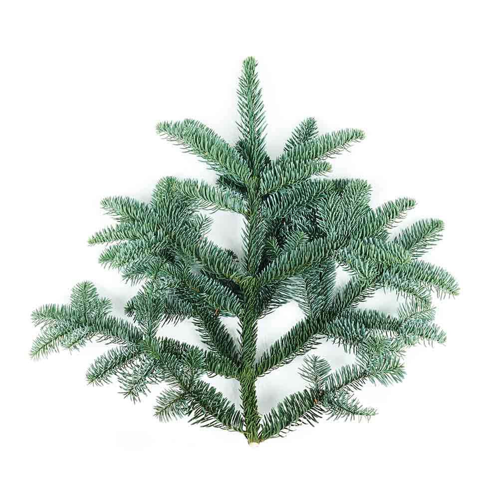 Nachhaltiges Schnittgrün kaufen – Keinachtsbaum®