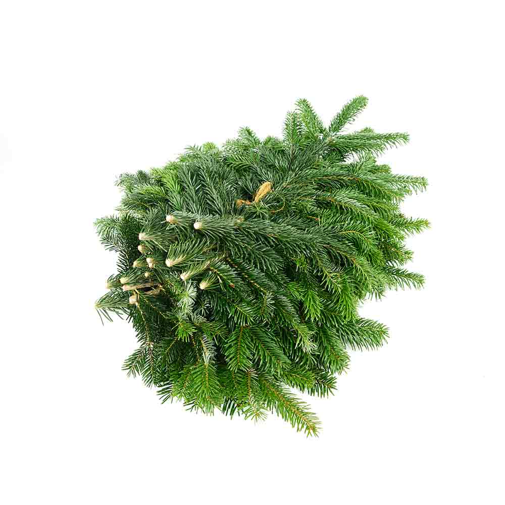 Natur-Moment: Dein Schnittgrün im Abo