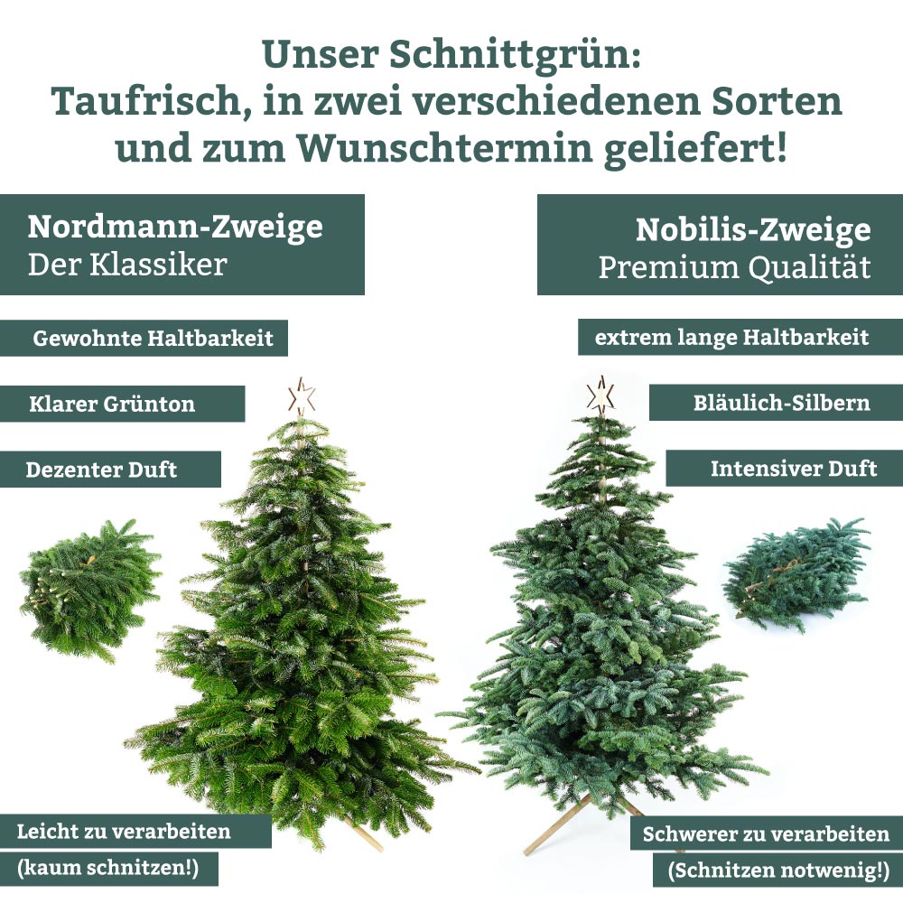 Baumpatenschaft