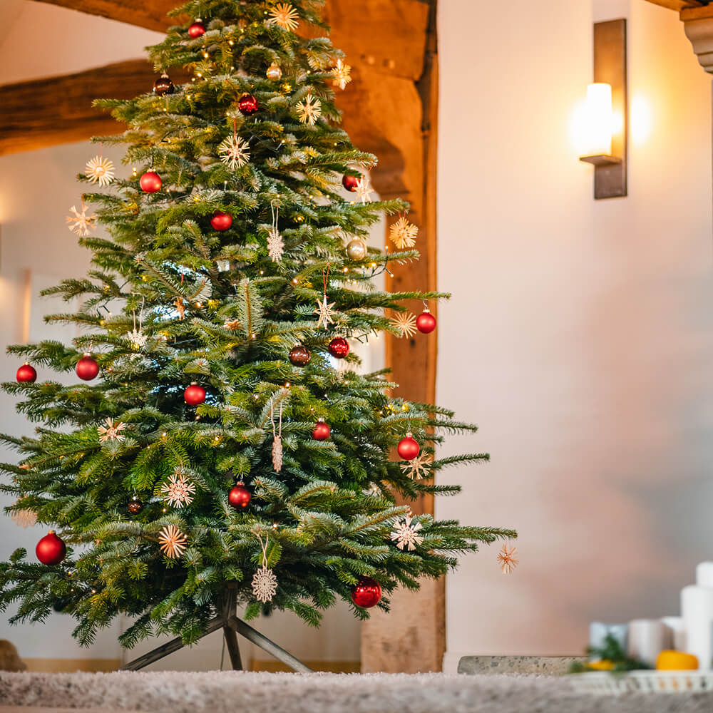 Keinachtsbaum® die beste Alternative?!