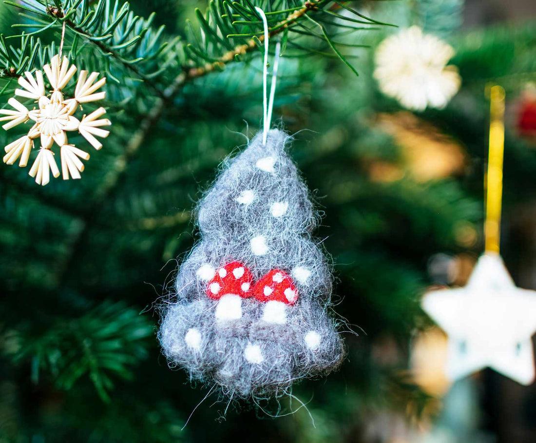 Ökologischer Weihnachtsbaum?  Auf der Suche nach der perfekten Tanne