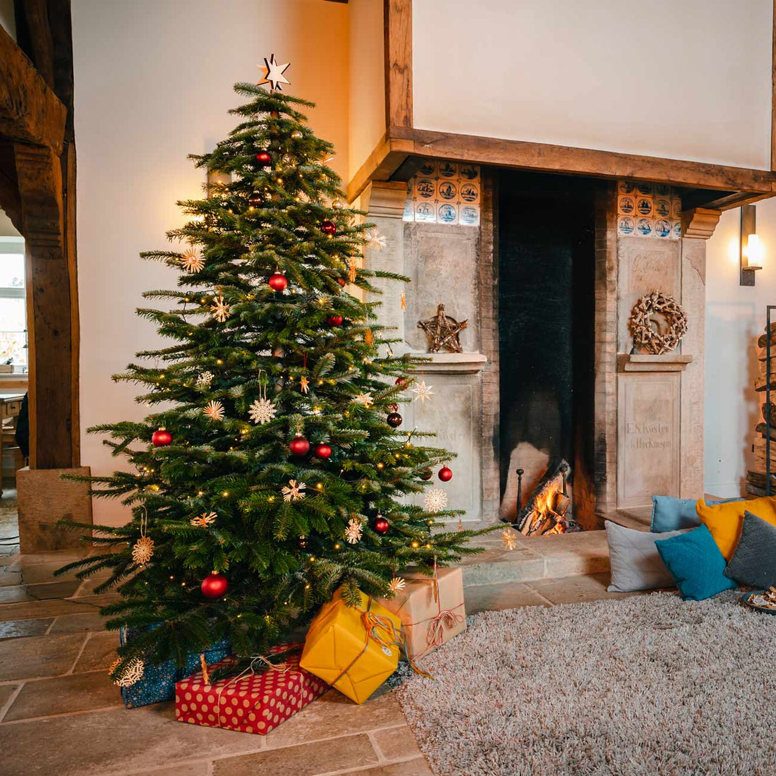 Keinachtsbaum Erfahrungen & Kritik