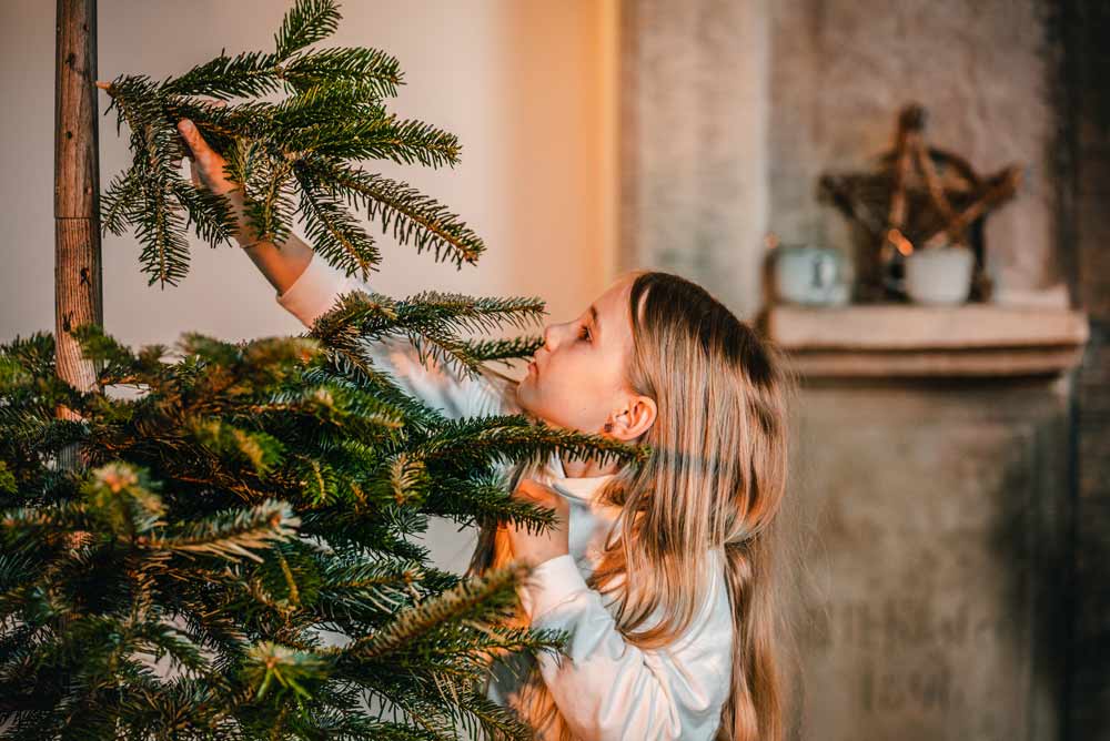 Stecktanne? Lass mal stecken!  Wir basteln uns einen Keinachtsbaum