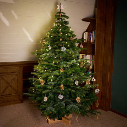 Keinachtsbaum® Lilli – die neue kleine Schwester