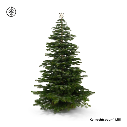 Keinachtsbaum® Lilli – die neue kleine Schwester