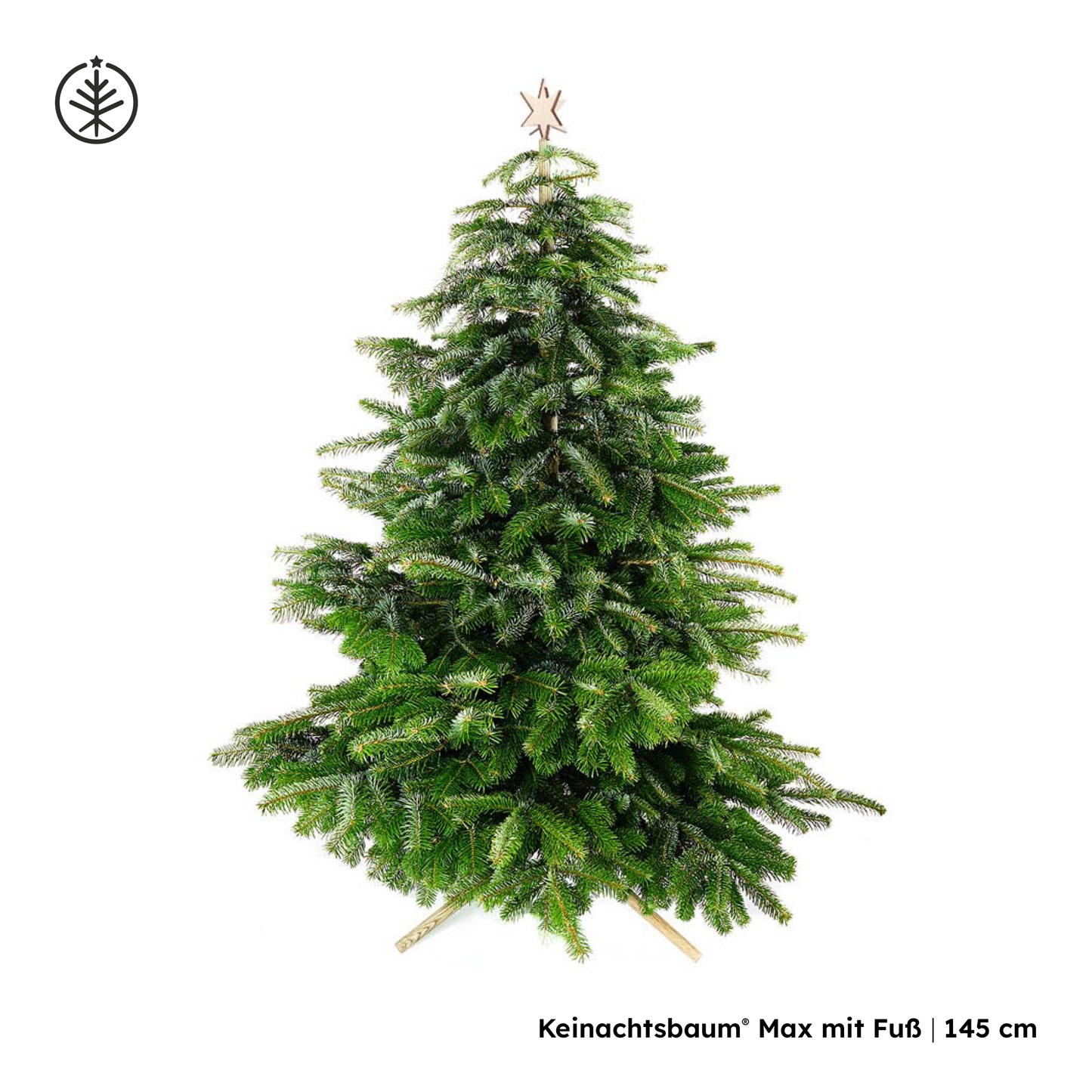 Keinachtsbaum® Max – in sechs Größen erhältlich