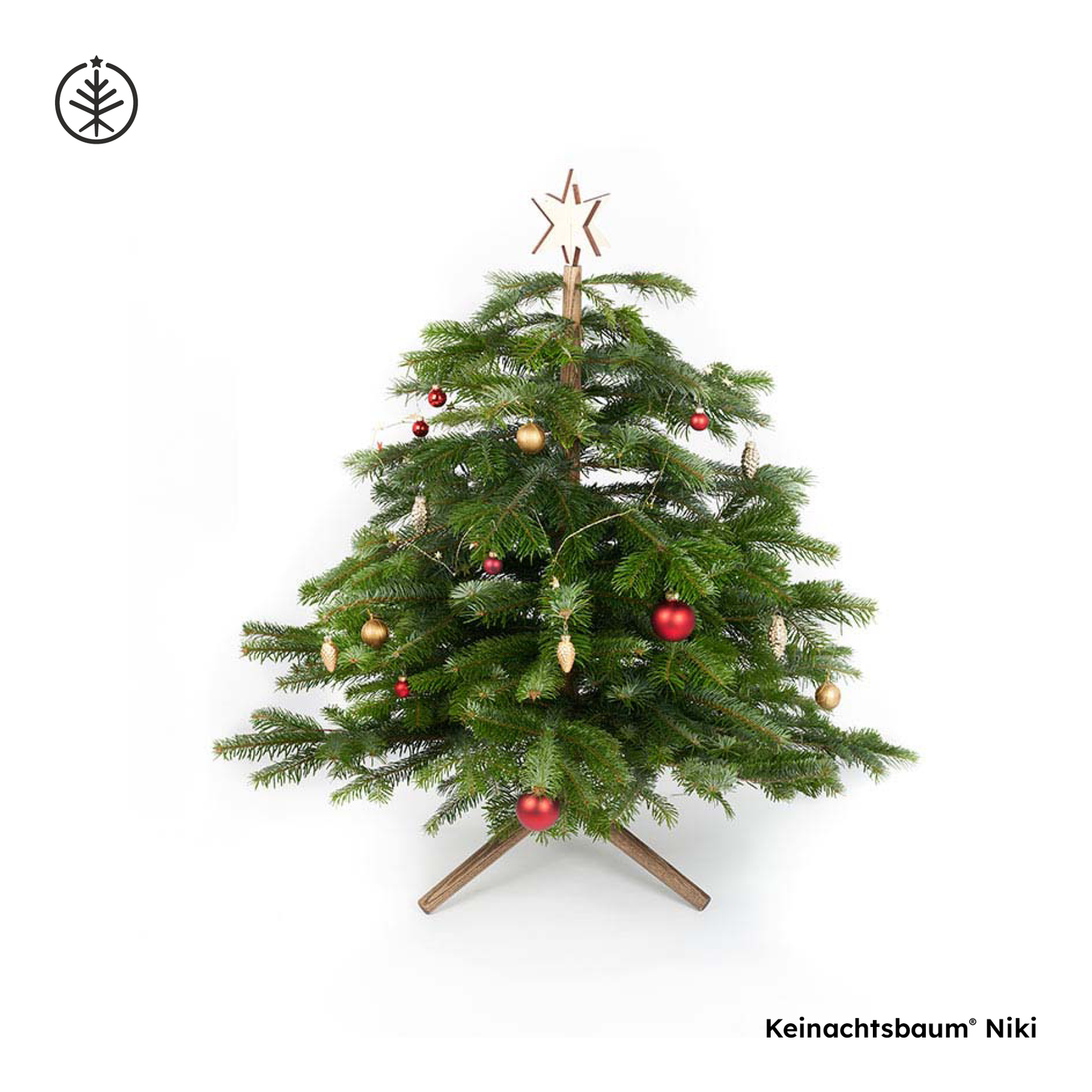 Keinachtsbaum® Niki – der kleinste Keinachtsbaum