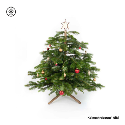 Keinachtsbaum® Niki – der kleinste Keinachtsbaum