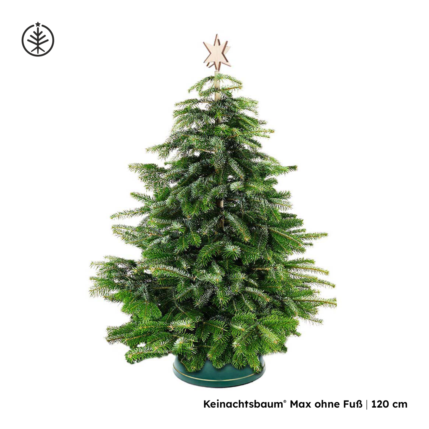 Keinachtsbaum® Max – in sechs Größen erhältlich