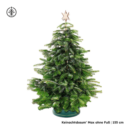 Keinachtsbaum® Max – in sechs Größen erhältlich