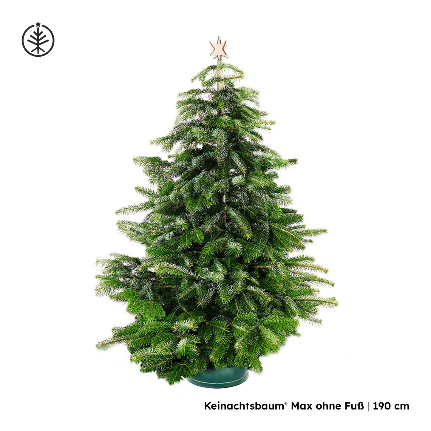 Keinachtsbaum® Max – in sechs Größen erhältlich