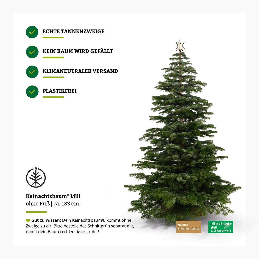 Keinachtsbaum® Lilli – Buchenholz, 180 cm