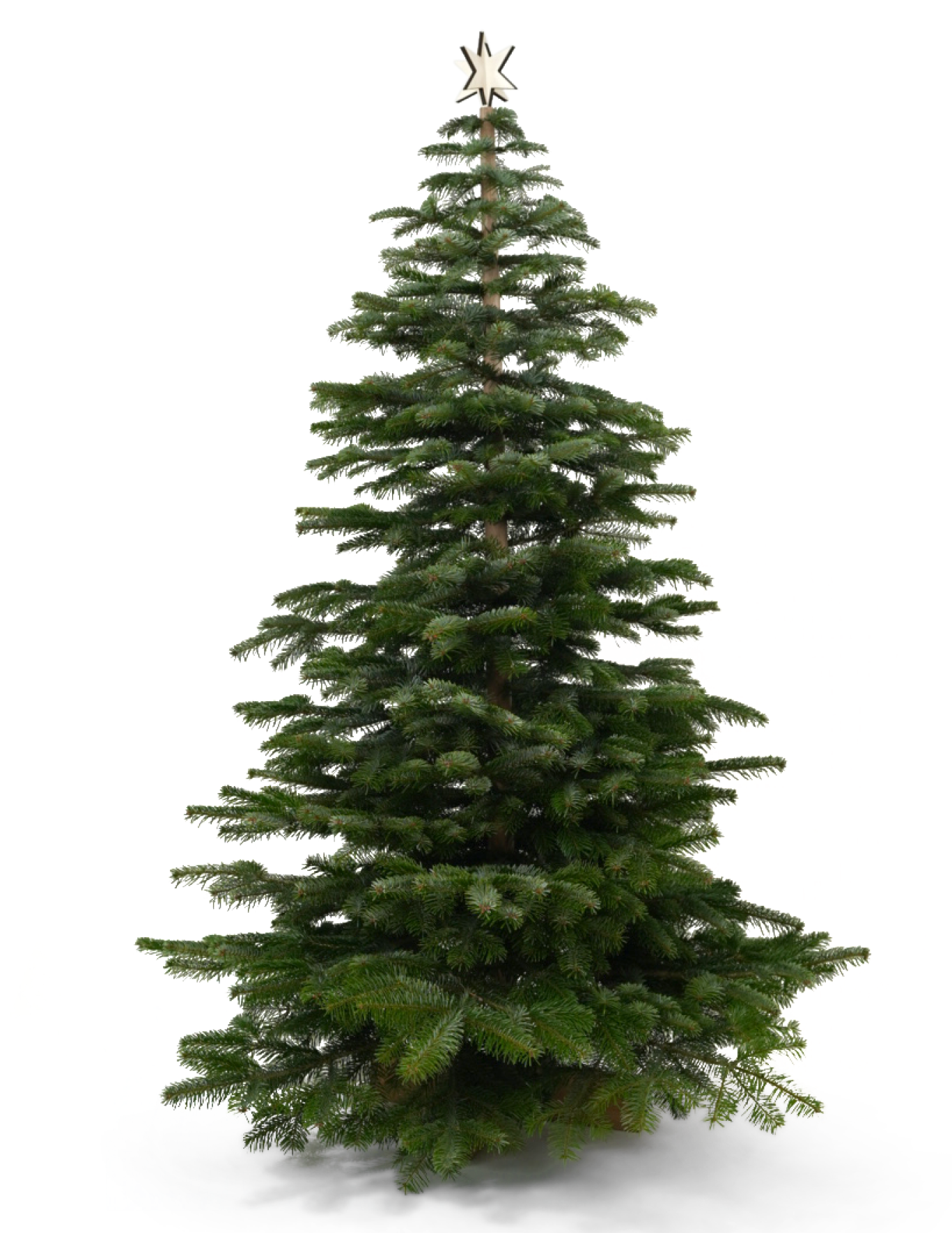 Keinachtsbaum® Starter-Set