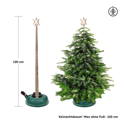 Keinachtsbaum® Max – Eschenholz, 3 Größen