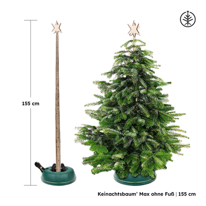 Keinachtsbaum® Max – Eschenholz, 3 Größen