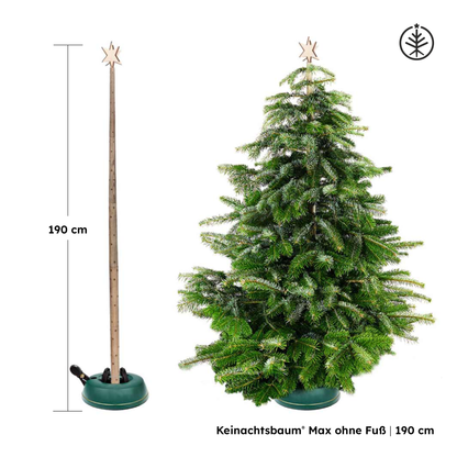 Keinachtsbaum® Max – Eschenholz, 3 Größen