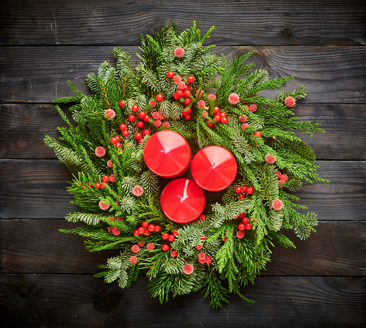 Frische Nordmann-Zweige