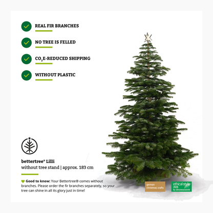 Keinachtsbaum® Lilli – Buchenholz, 180 cm