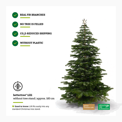 Keinachtsbaum® Starter-Set