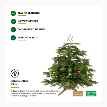 Keinachtsbaum® Niki – Eschenholz, 100 cm