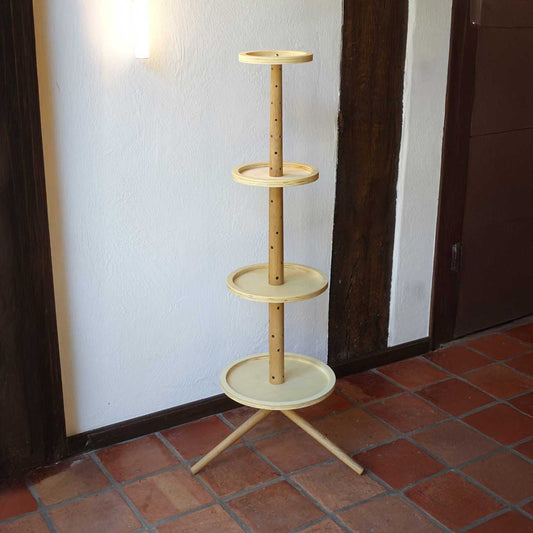 Holzteller-Set