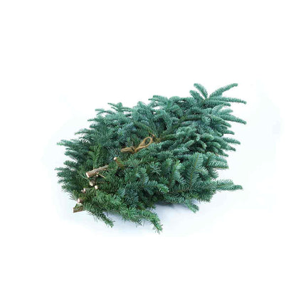 Nobilis-Zweige: Premium-Qualität für Kenner