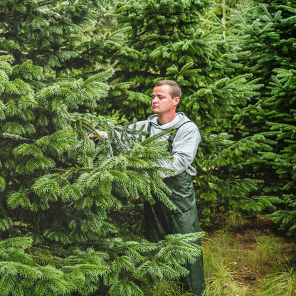 Natur-Moment: Dein Schnittgrün im Abo