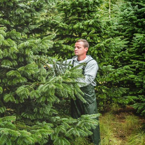 Natur-Moment: Dein Schnittgrün im Abo