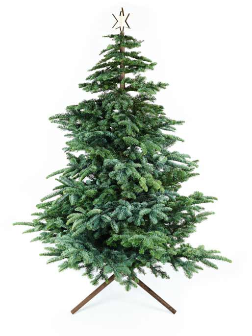 Keinachtsbaum® Business-Set