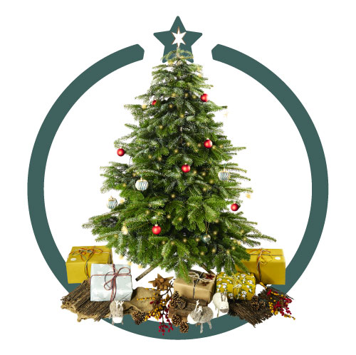Die nachhaltige Weihnachtsbaum alternative