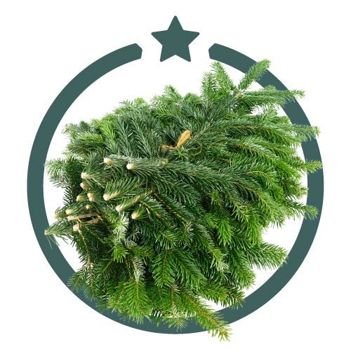 frisches Schnittgrün für den Weihnachtsbaum Ersatz