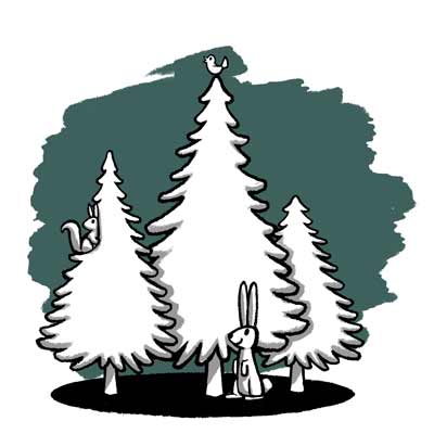 Nachhaltiges Schnittgrün für den Weihnachtsbaum